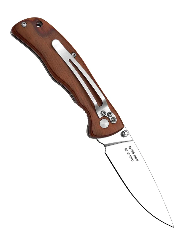 K746 (SCOUT)