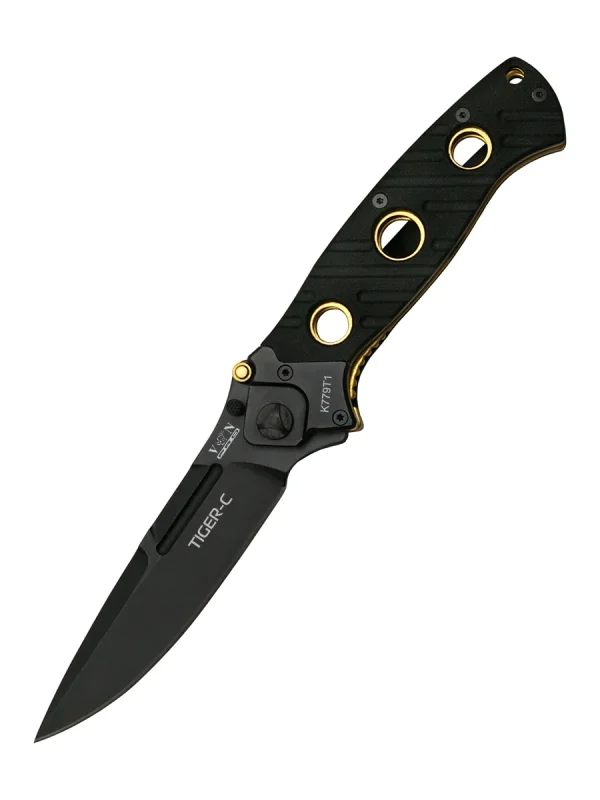 K779T1 (TIGER-C)