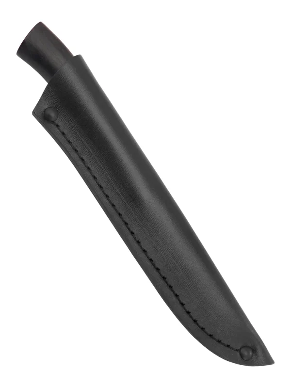 К03187 (Кавказский 011731)
